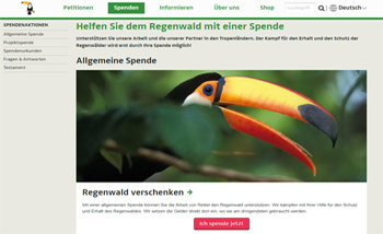 Regenwald-org-3
